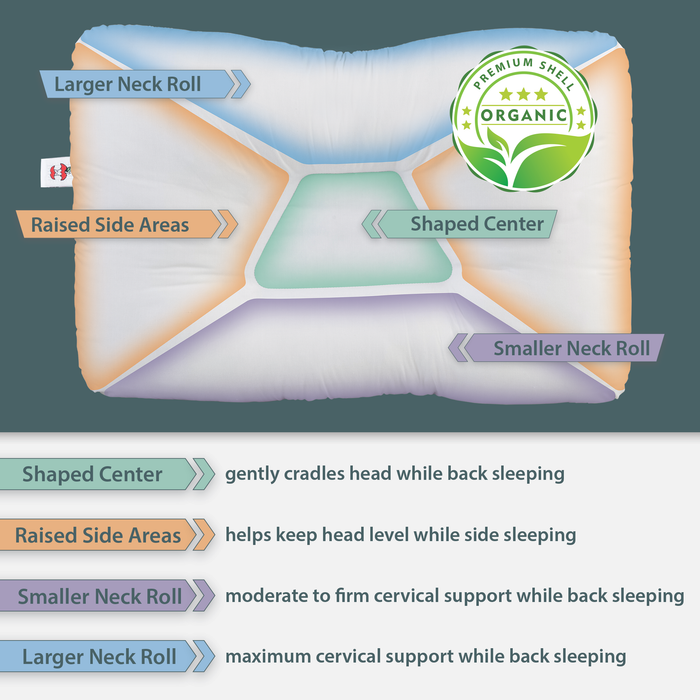 Tri-Core Natural Cervical Support Pillow with Premium Organic Cotton Shell