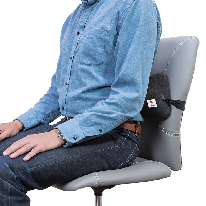 Sleep Log Chiropractic Bone Shaped Neck & Cervical Pillow- Lumbar Support