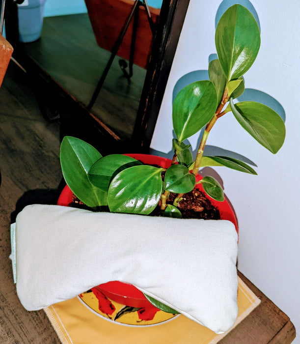Buckwheat Hulls Eye Pillow
