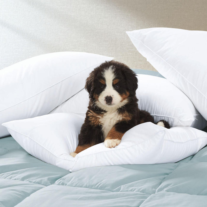 Classic Down Alternative Percale Pillow Hypoallergenic