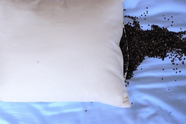 Buckwheat Pillows