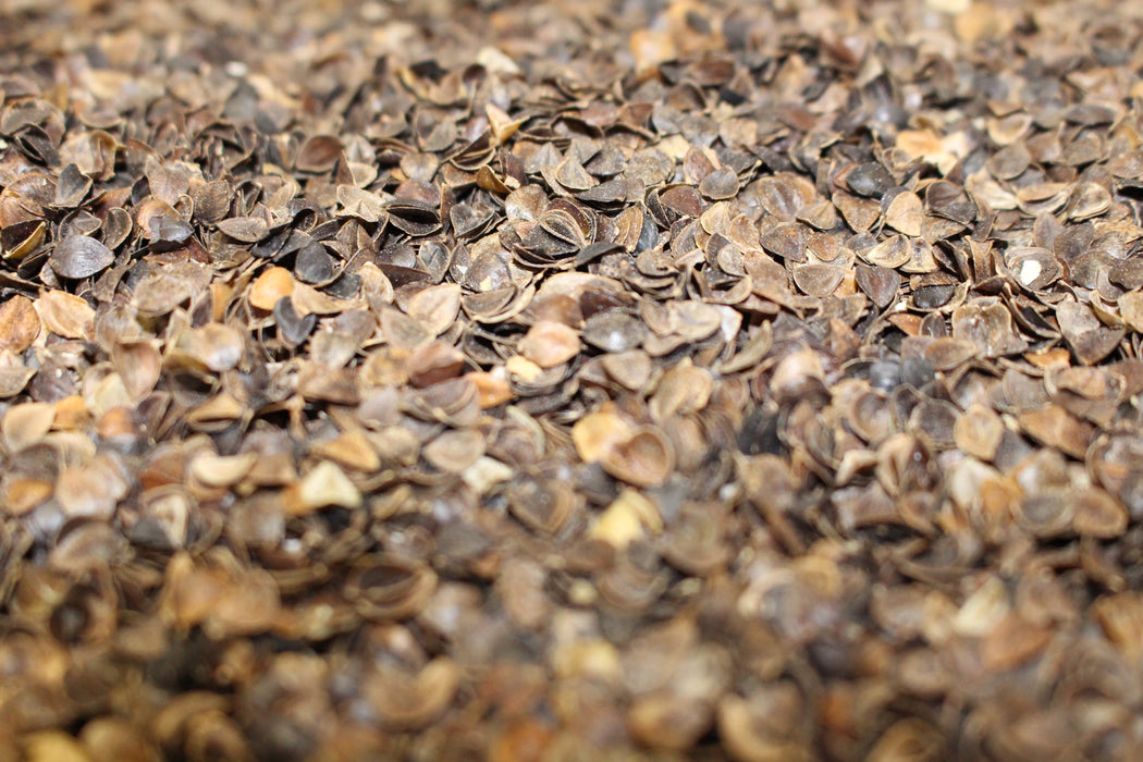 Buckwheat Pillows